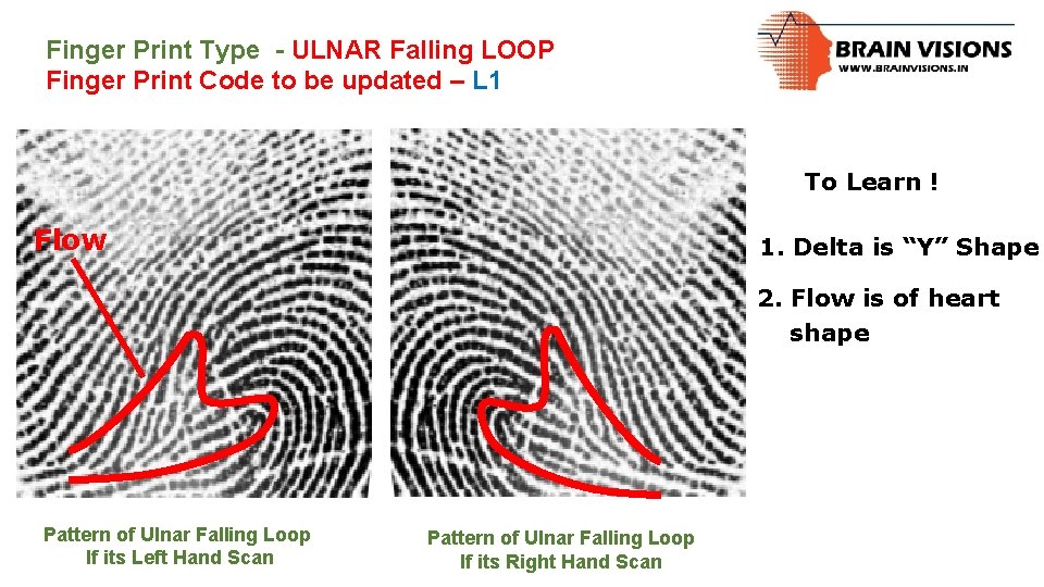 Finger Print Type - ULNAR Falling LOOP Finger Print Code to be updated –