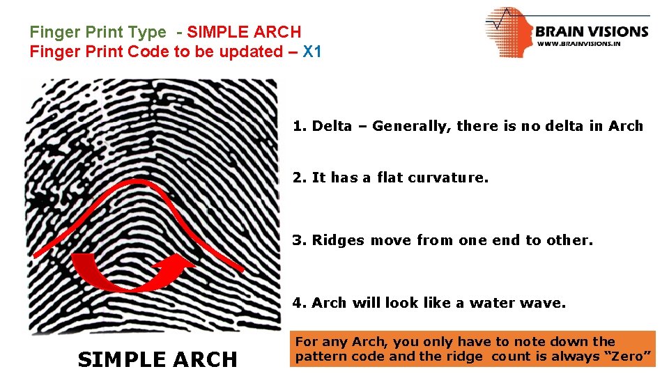 Finger Print Type - SIMPLE ARCH Finger Print Code to be updated – X