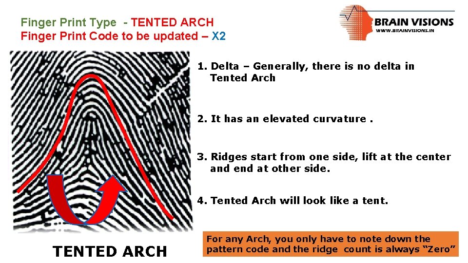 Finger Print Type - TENTED ARCH Finger Print Code to be updated – X