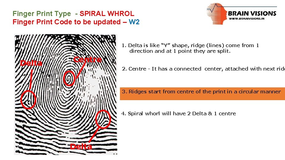 Finger Print Type - SPIRAL WHROL Finger Print Code to be updated – W