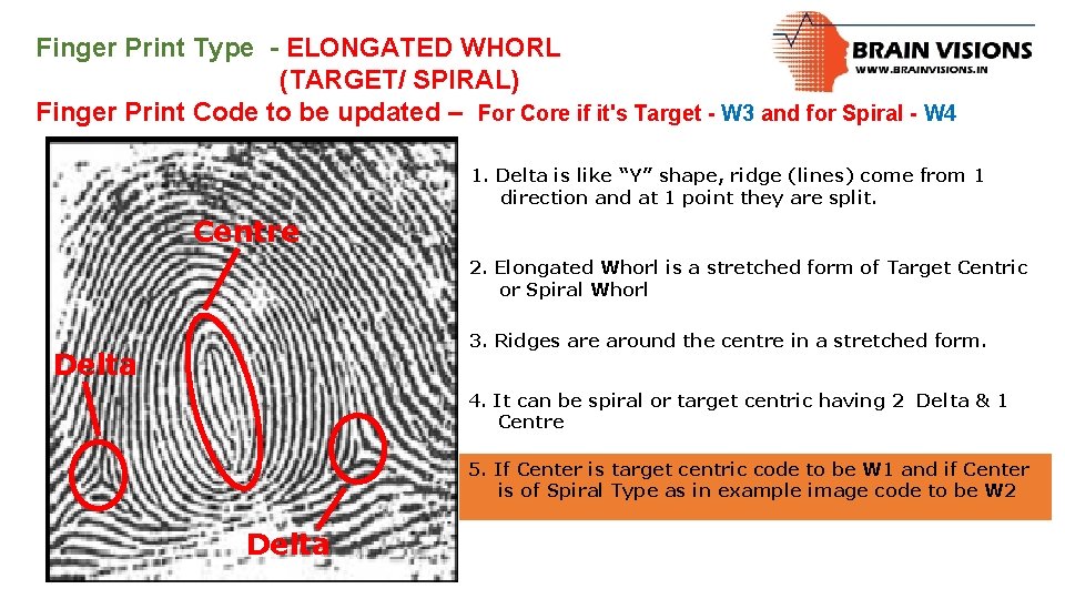 Finger Print Type - ELONGATED WHORL (TARGET/ SPIRAL) Finger Print Code to be updated