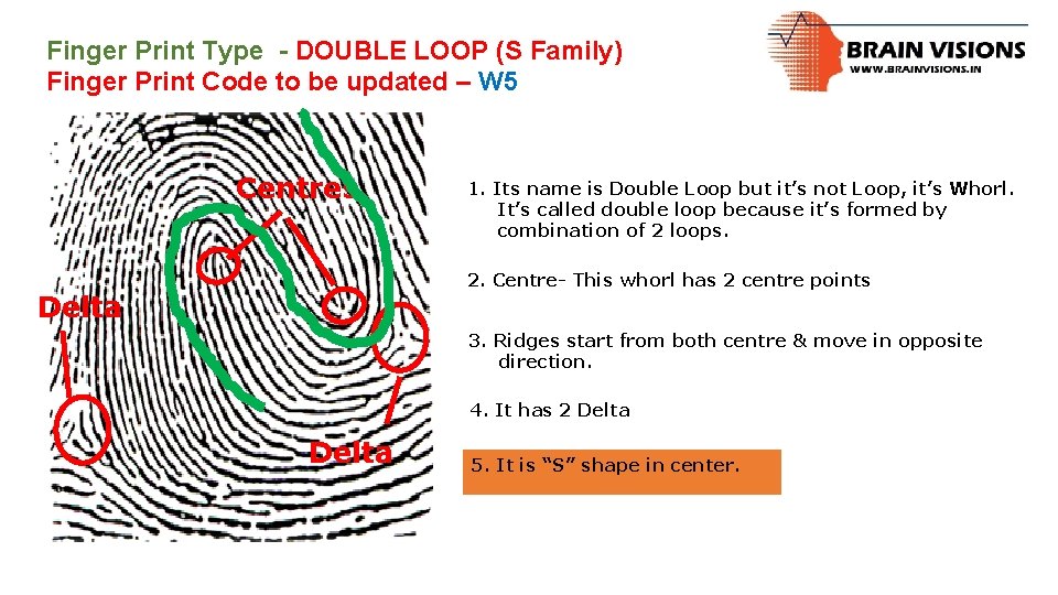 Finger Print Type - DOUBLE LOOP (S Family) Finger Print Code to be updated