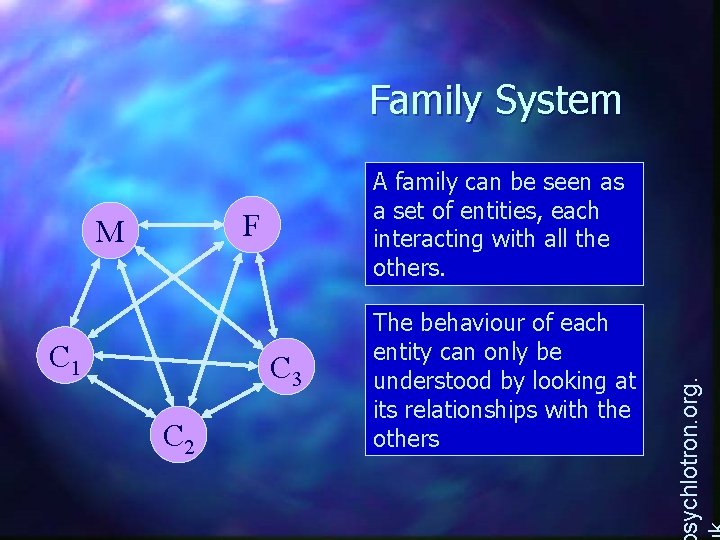 Family System F M C 1 C 3 C 2 The behaviour of each