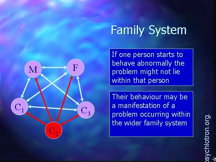 Family System F M C 1 C 3 C 2 Their behaviour may be