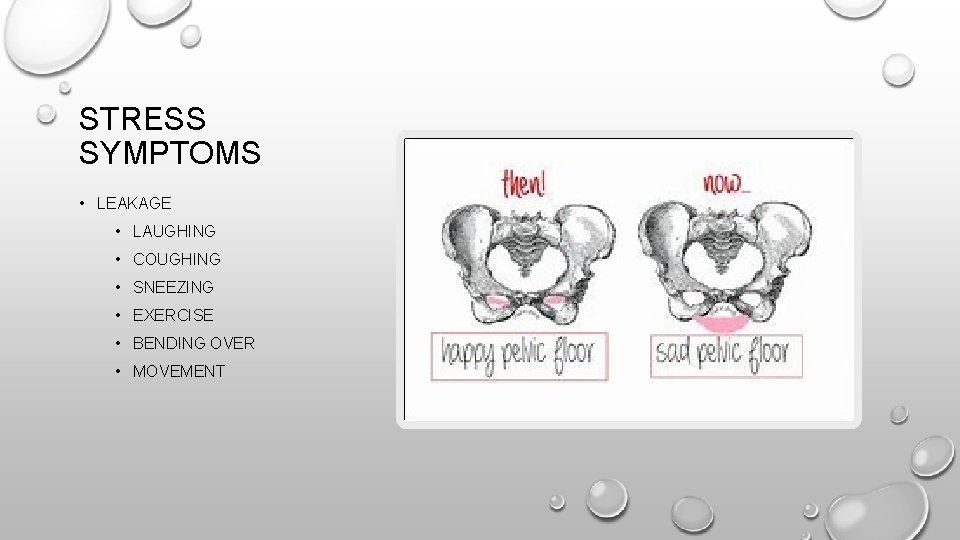 STRESS SYMPTOMS • LEAKAGE • LAUGHING • COUGHING • SNEEZING • EXERCISE • BENDING