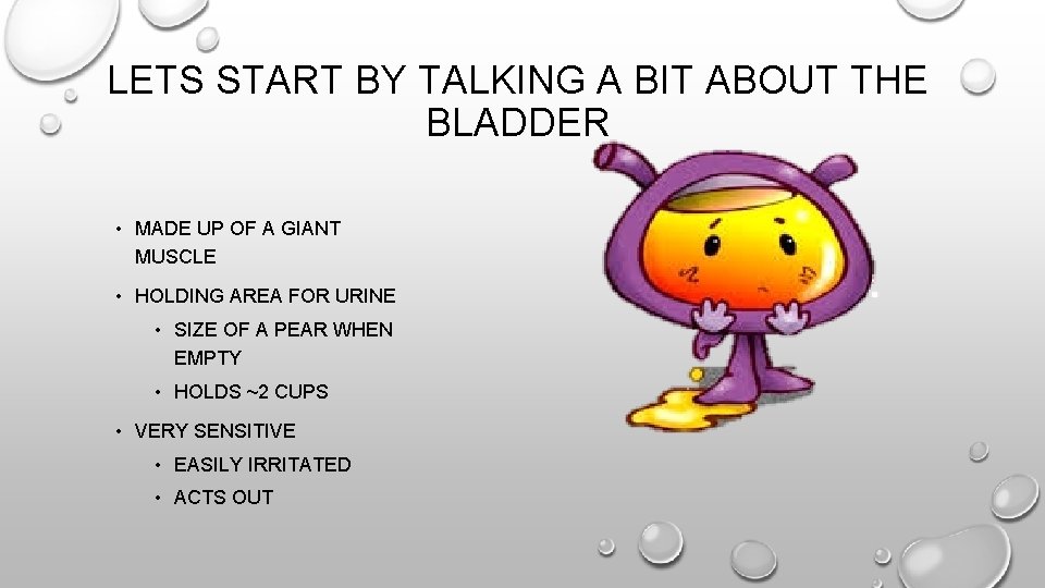 LETS START BY TALKING A BIT ABOUT THE BLADDER • MADE UP OF A