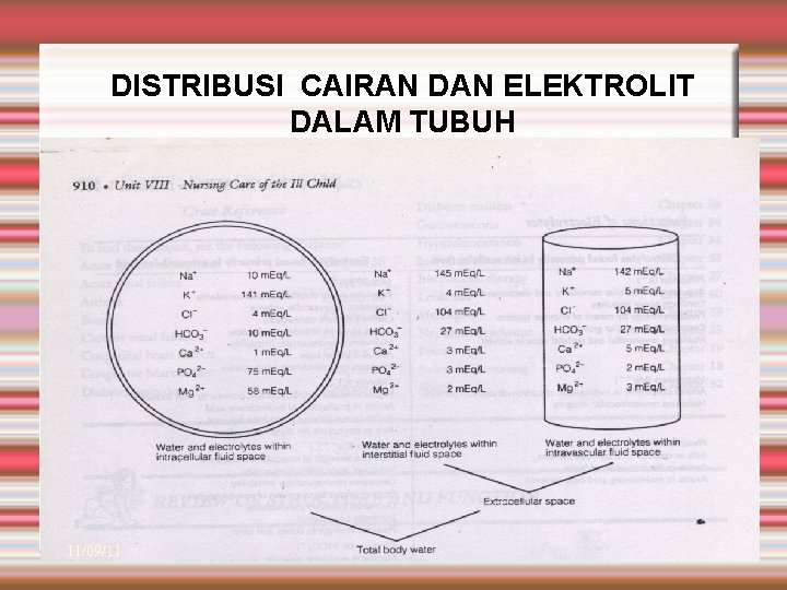 DISTRIBUSI CAIRAN DAN ELEKTROLIT DALAM TUBUH 11/09/11 