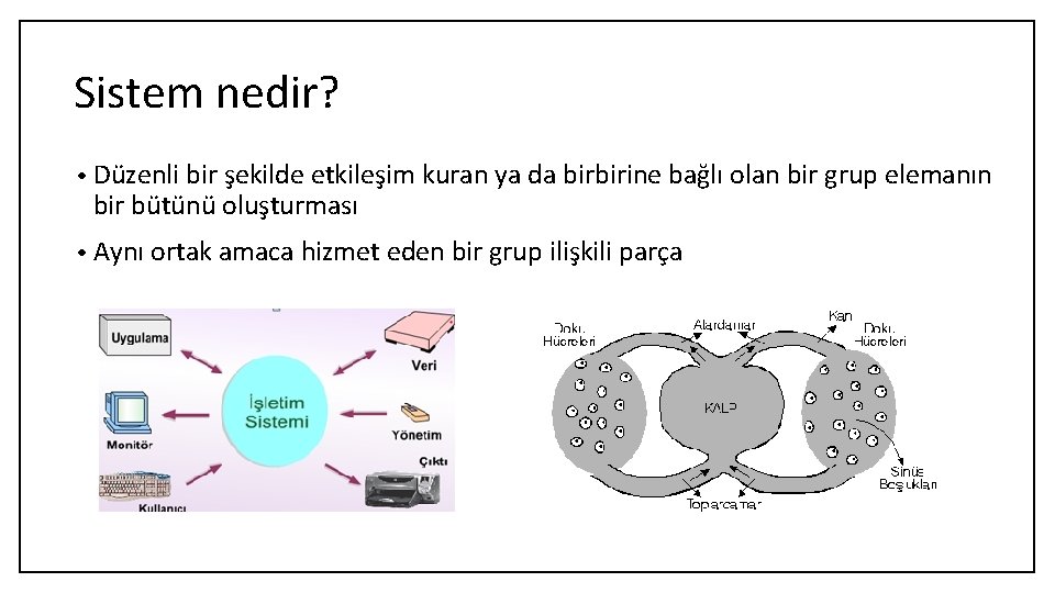 Sistem nedir? • Düzenli bir şekilde etkileşim kuran ya da birbirine bağlı olan bir