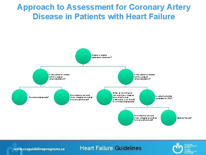 Approach to Assessment for Coronary Artery Disease in Patients with Heart Failure Angina or