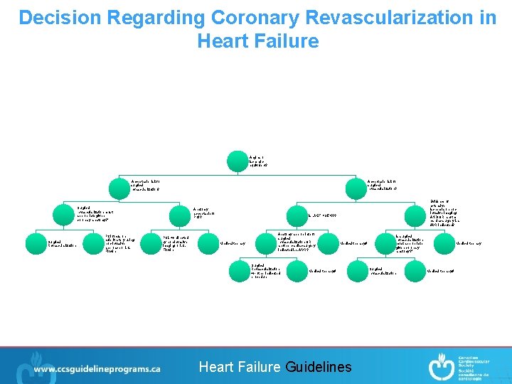 Decision Regarding Coronary Revascularization in Heart Failure Angina or ischemic equivalent? Acceptable risk for