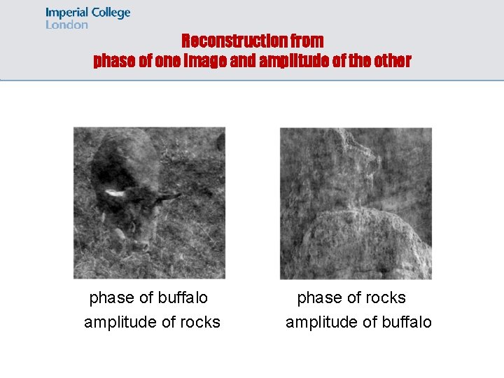 Reconstruction from phase of one image and amplitude of the other phase of buffalo