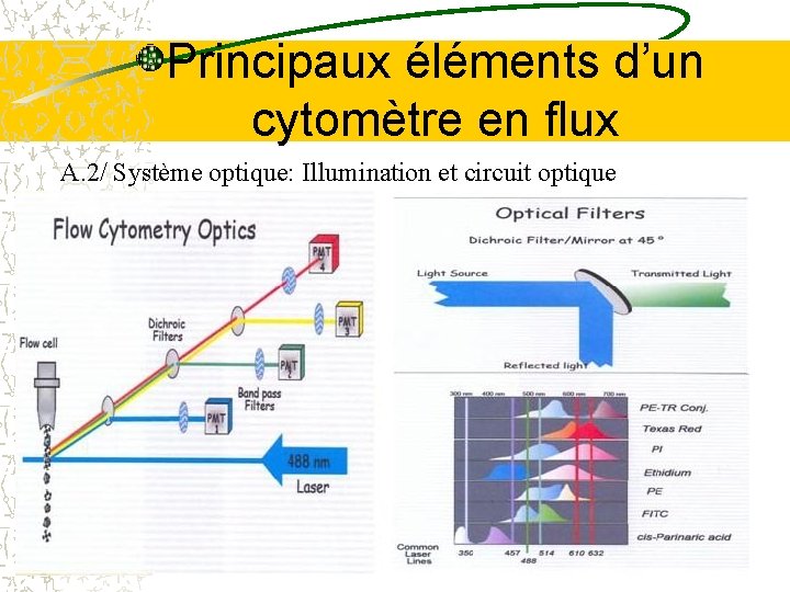 Principaux éléments d’un cytomètre en flux A. 2/ Système optique: Illumination et circuit optique Principaux éléments d’un cytomètre en flux A. 2/ Système optique: Illumination et circuit optique