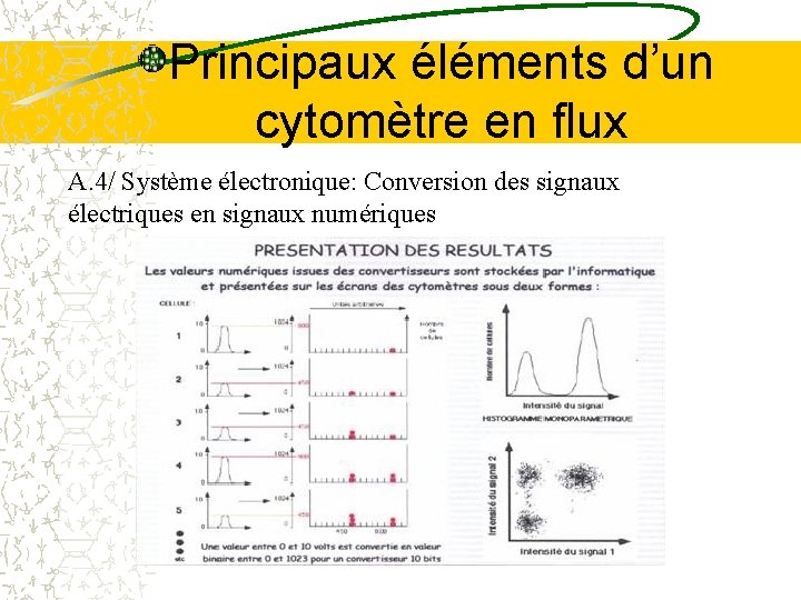 Principaux éléments d’un cytomètre en flux A. 4/ Système électronique: Conversion des signaux électriques Principaux éléments d’un cytomètre en flux A. 4/ Système électronique: Conversion des signaux électriques