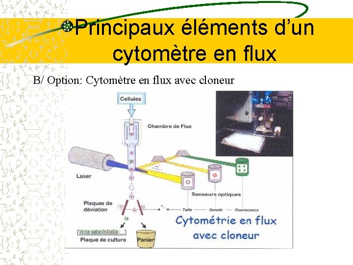 Principaux éléments d’un cytomètre en flux B/ Option: Cytomètre en flux avec cloneur Principaux éléments d’un cytomètre en flux B/ Option: Cytomètre en flux avec cloneur