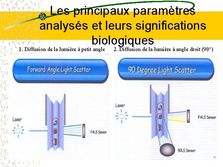 Les principaux paramètres analysés et leurs significations biologiques 1. Diffusion de la lumière à Les principaux paramètres analysés et leurs significations biologiques 1. Diffusion de la lumière à