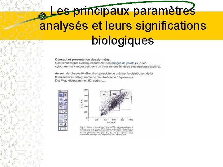 Les principaux paramètres analysés et leurs significations biologiques Les principaux paramètres analysés et leurs significations biologiques