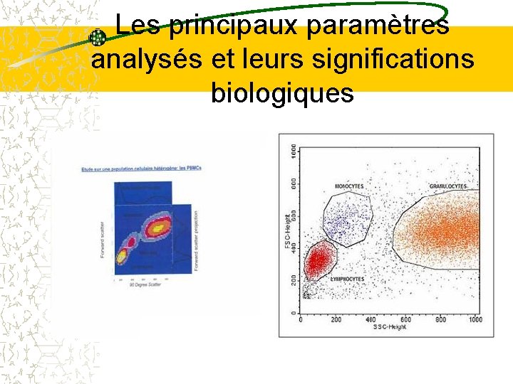 Les principaux paramètres analysés et leurs significations biologiques Les principaux paramètres analysés et leurs significations biologiques