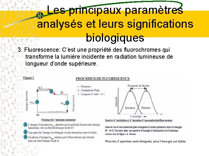 Les principaux paramètres analysés et leurs significations biologiques 3. Fluorescence: C’est une propriété des Les principaux paramètres analysés et leurs significations biologiques 3. Fluorescence: C’est une propriété des