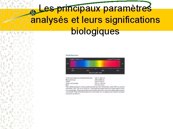 Les principaux paramètres analysés et leurs significations biologiques Les principaux paramètres analysés et leurs significations biologiques