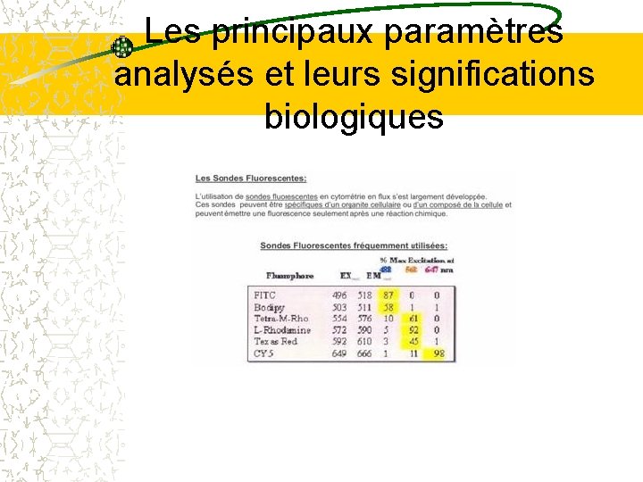 Les principaux paramètres analysés et leurs significations biologiques Les principaux paramètres analysés et leurs significations biologiques