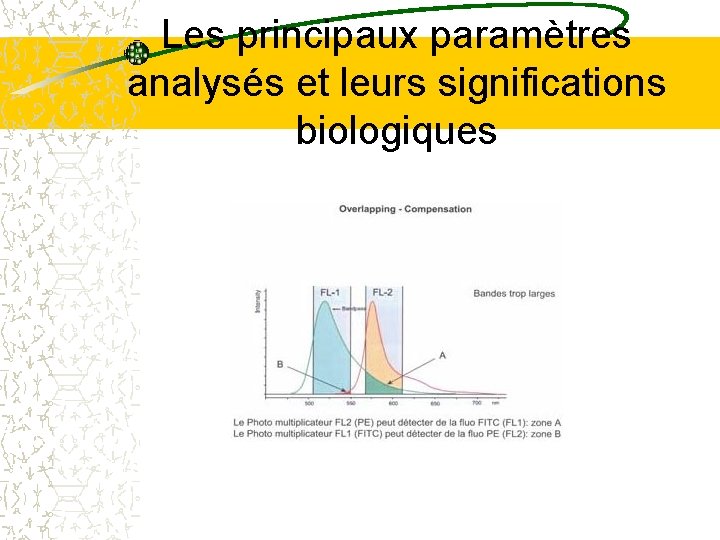 Les principaux paramètres analysés et leurs significations biologiques Les principaux paramètres analysés et leurs significations biologiques