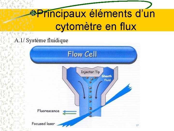 Principaux éléments d’un cytomètre en flux A. 1/ Système fluidique Principaux éléments d’un cytomètre en flux A. 1/ Système fluidique