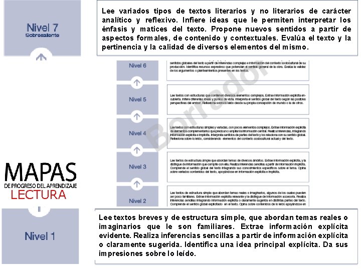 Lee variados tipos de textos literarios y no literarios de carácter analítico y reflexivo.