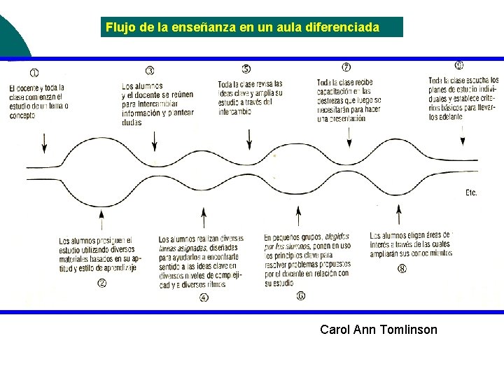 Flujo de la enseñanza en un aula diferenciada Carol Ann Tomlinson 