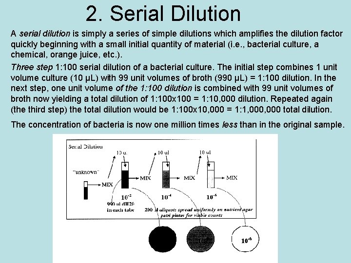  • • 2. Serial Dilution A serial dilution is simply a series of