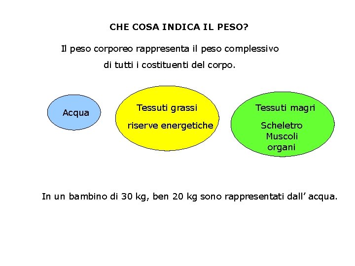 CHE COSA INDICA IL PESO? Il peso corporeo rappresenta il peso complessivo di tutti