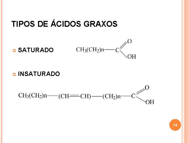 TIPOS DE ÁCIDOS GRAXOS SATURADO INSATURADO 14 TIPOS DE ÁCIDOS GRAXOS SATURADO INSATURADO 14
