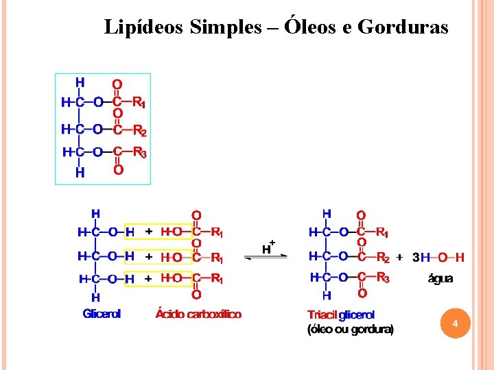 Lipídeos Simples – Óleos e Gorduras 4 Lipídeos Simples – Óleos e Gorduras 4