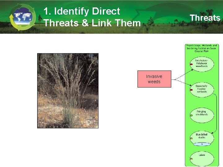 1. Identify Direct Threats & Link Them Threats Invasive weeds 