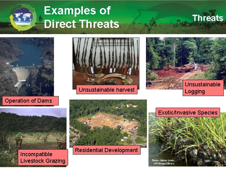 Examples of Direct Threats Unsustainable Logging Unsustainable harvest Operation of Dams Exotic/Invasive Species Incompatible