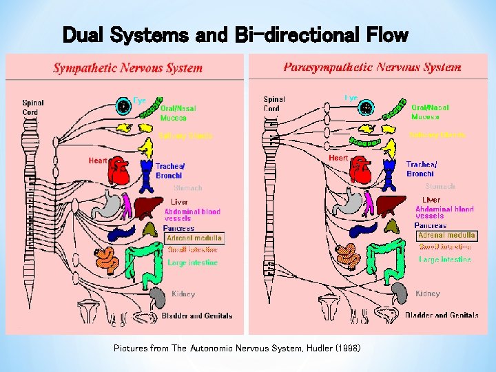 The Psychophysiology of Appreciation Implications for Organizational ...