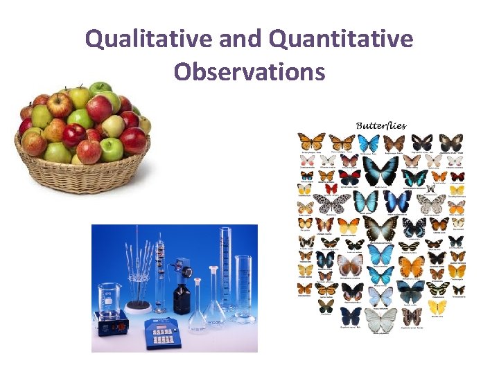 Qualitative and Quantitative Observations 