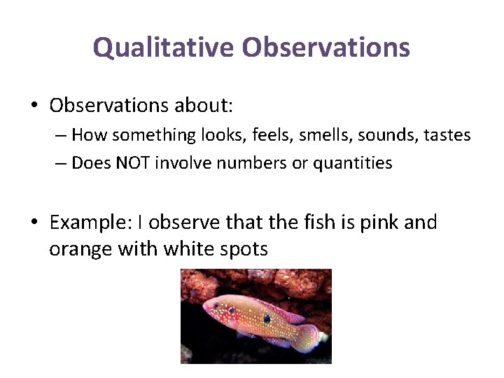 Qualitative Observations • Observations about: – How something looks, feels, smells, sounds, tastes –