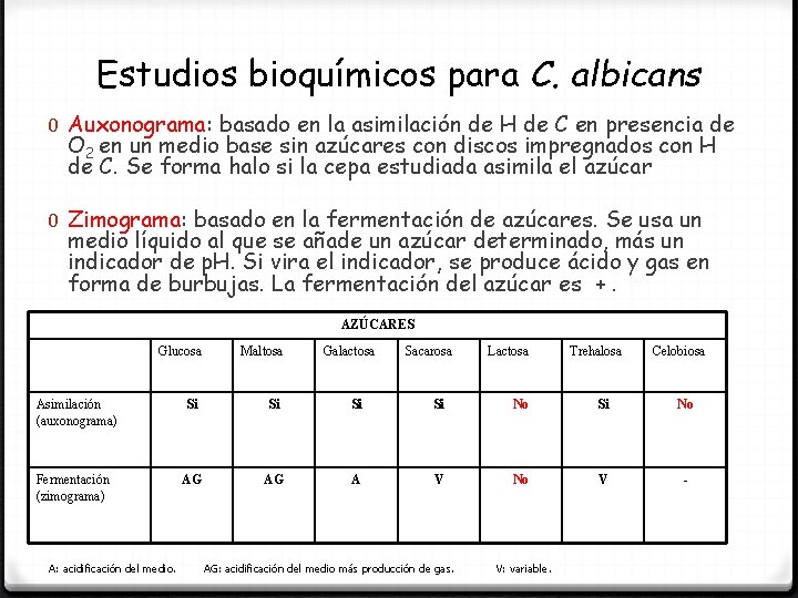 Estudios bioquímicos para C. albicans 0 Auxonograma: basado en la asimilación de H de