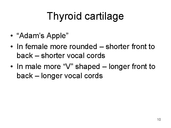 Thyroid cartilage • “Adam’s Apple” • In female more rounded – shorter front to