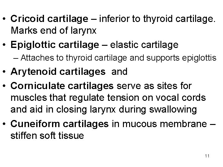  • Cricoid cartilage – inferior to thyroid cartilage. Marks end of larynx •