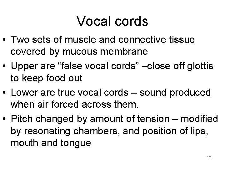 Vocal cords • Two sets of muscle and connective tissue covered by mucous membrane