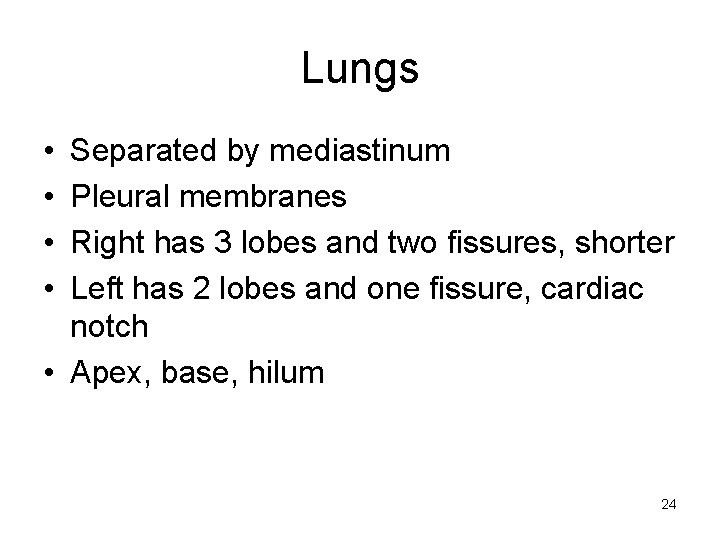 Lungs • • Separated by mediastinum Pleural membranes Right has 3 lobes and two