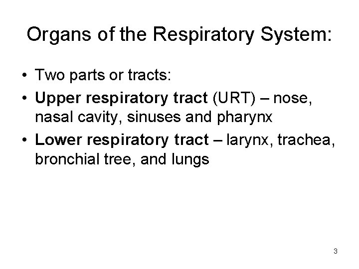 Organs of the Respiratory System: • Two parts or tracts: • Upper respiratory tract