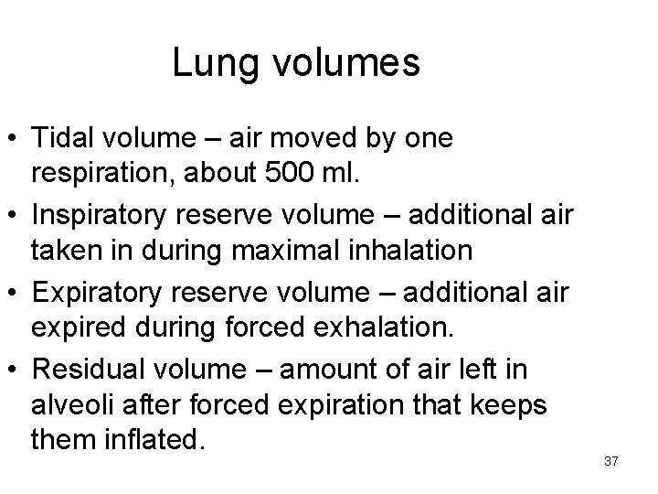 Lung volumes • Tidal volume – air moved by one respiration, about 500 ml.