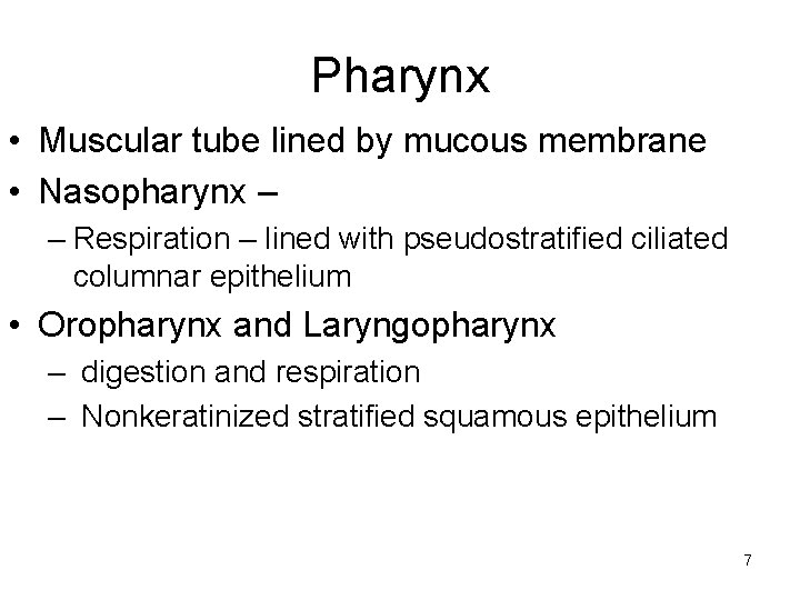 Pharynx • Muscular tube lined by mucous membrane • Nasopharynx – – Respiration –