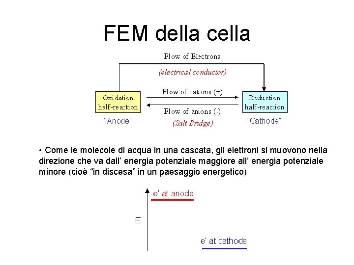 FEM della cella • Come le molecole di acqua in una cascata, gli elettroni