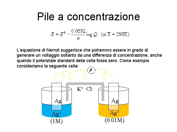 Pile a concentrazione L’equazione di Nernst suggerisce che potremmo essere in grado di generare
