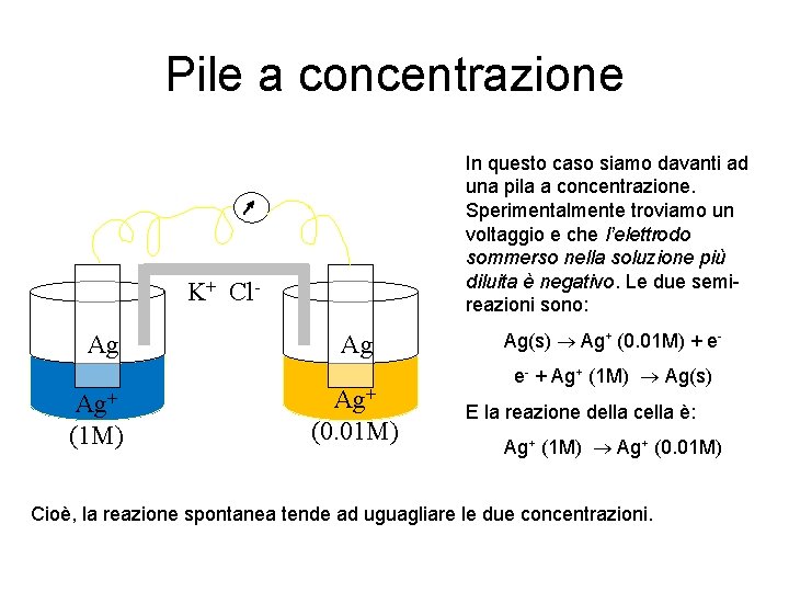 Pile a concentrazione In questo caso siamo davanti ad una pila a concentrazione. Sperimentalmente
