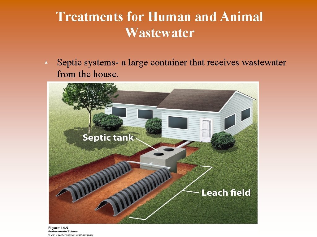 Treatments for Human and Animal Wastewater © Septic systems- a large container that receives