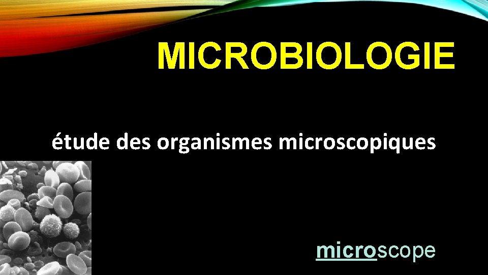 MICROBIOLOGIE étude des organismes microscopiques microscope 